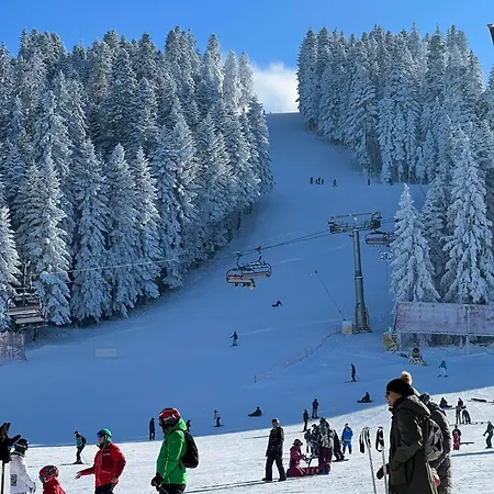 Arboro Gardens E50 Borovets