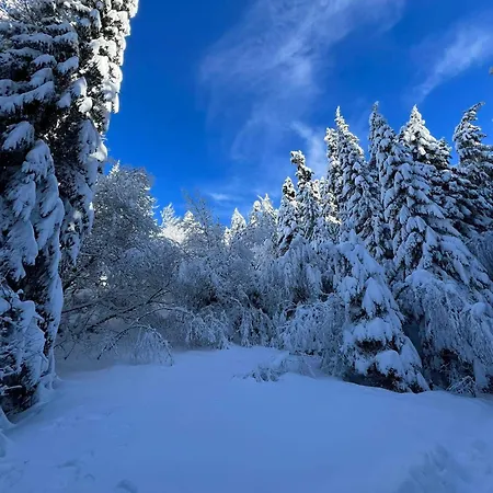 Arboro Gardens E50 * Borovets