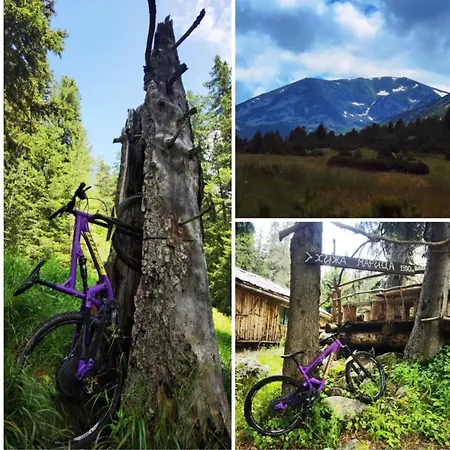 Arboro Gardens E50 Appartement *