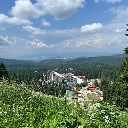 Appartement Arboro Gardens E50