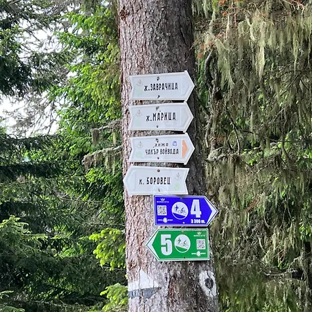 Apartamento Arboro Gardens E50