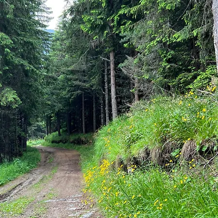 Arboro Gardens E50 Apartamento Borovets