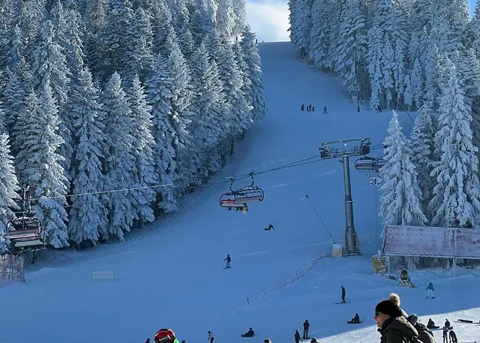 Arboro Gardens E50 ボロヴェッツ