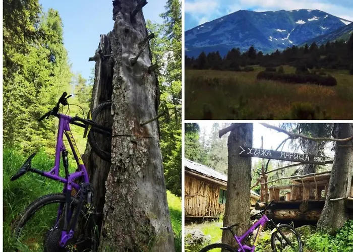 Arboro Gardens E50 アパート *