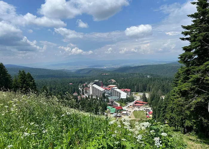 アパート Arboro Gardens E50