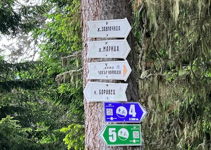 アパート Arboro Gardens E50