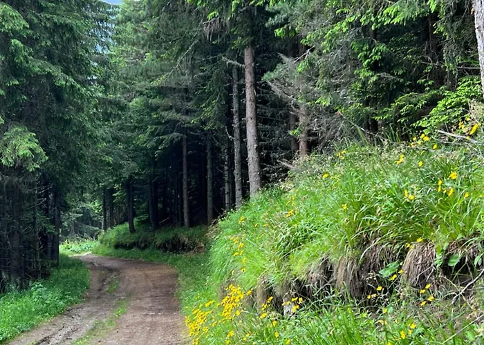 Arboro Gardens E50 アパート ボロヴェッツ